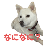 729634806