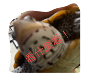 729649218