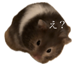 729699118