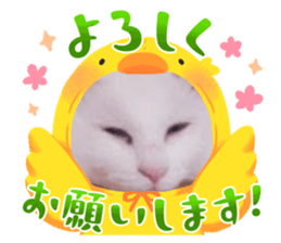 729699813