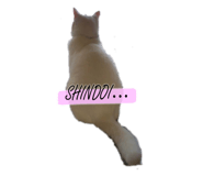 729726660