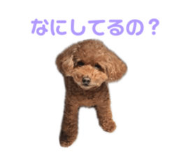 729761819