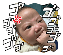 729766440