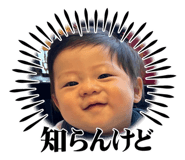 729767554