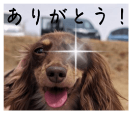 729770923