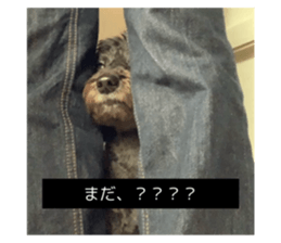 729787916