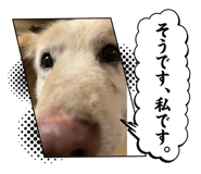 729788014