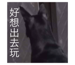 729798618