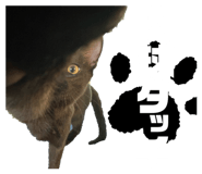 729799932