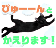 729799939