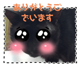 729806709