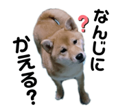 729808263