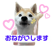 729808267
