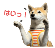729808269