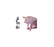 729872473