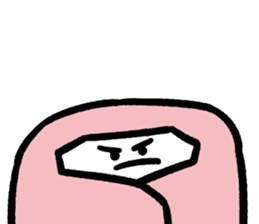 729905494