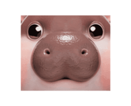 729962578