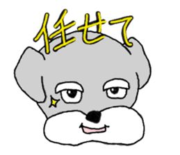 729969560