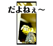 729969939