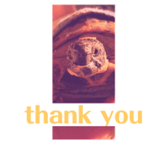 729969942
