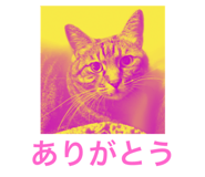 729969943