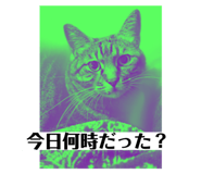 729969944