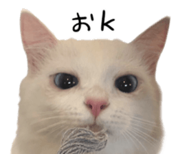 729978513