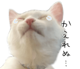 729978518