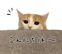 729978552