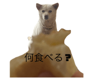 730096072