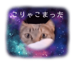730193384