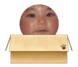 730225524