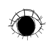 730251532