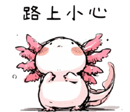 730255556
