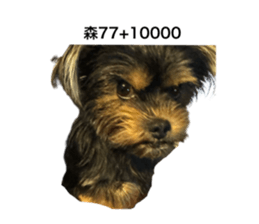 730407831