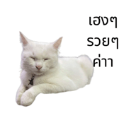 730428933
