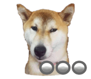 730429966
