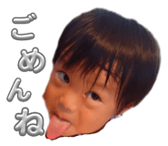 730445841