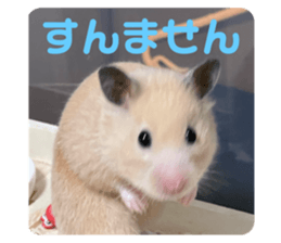 730448866
