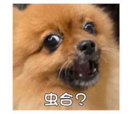 730465459