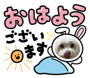 730469168