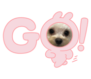 730489280