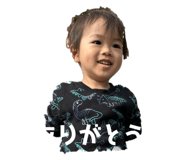 730490172