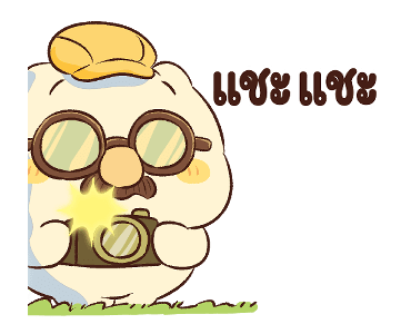 ลายที่ 17