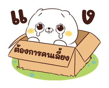 ลายที่ 23