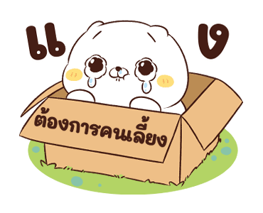 ลายที่ 12