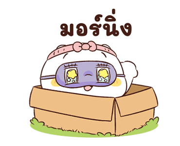 ลายที่ 29