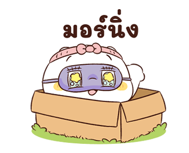 ลายที่ 15