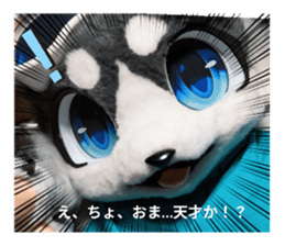730539169