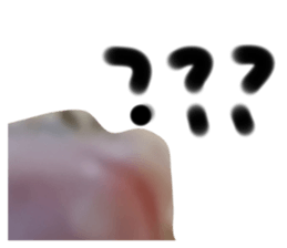 730582916